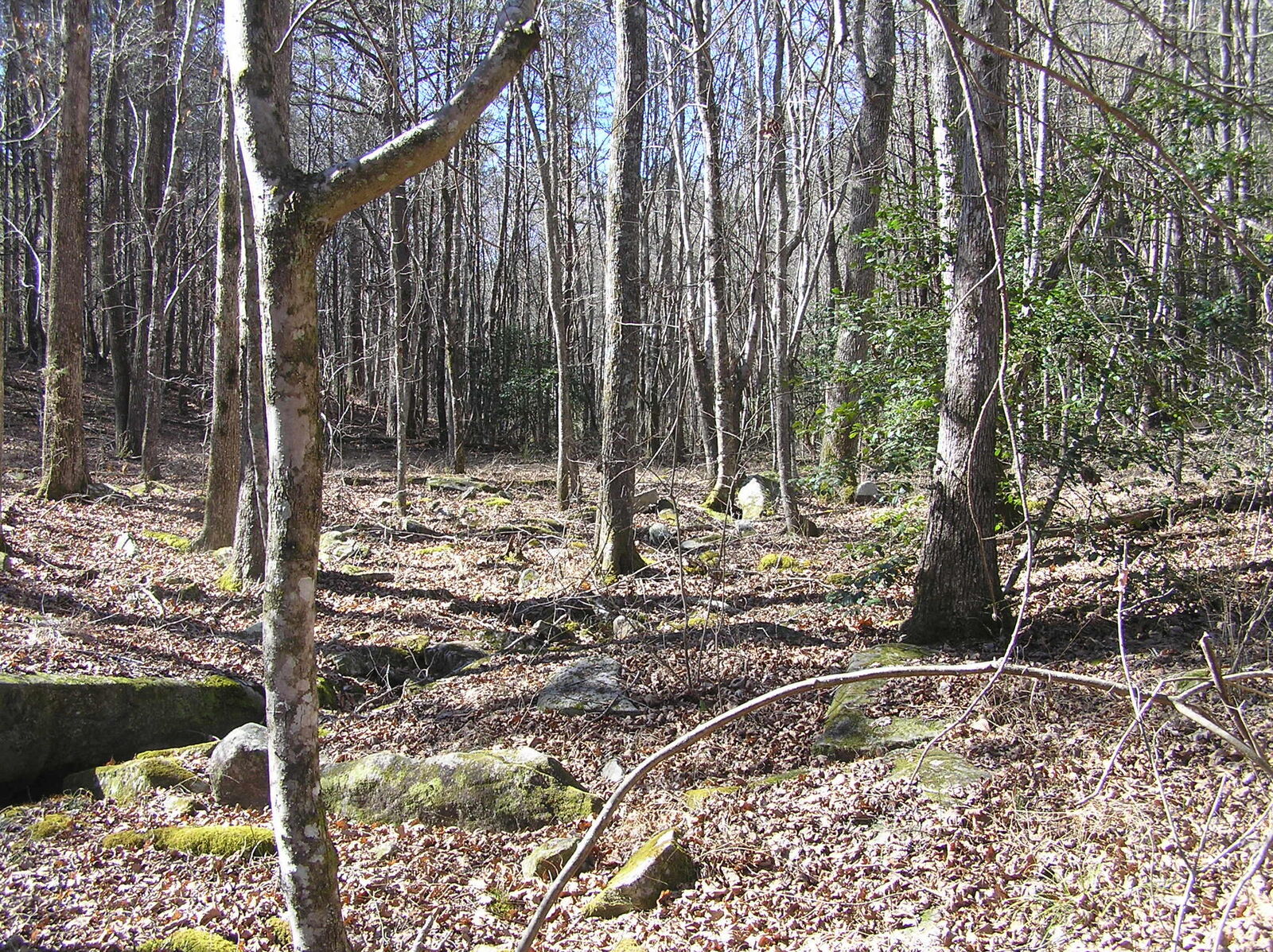 Property Photo: 151C Indian Trails Drive TN 38585