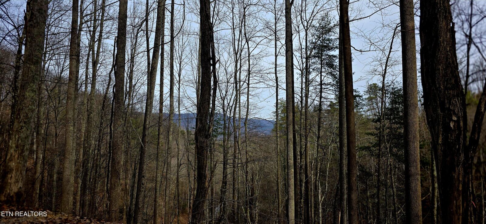 Property Photo:  Emerald Springs Loop  TN 37862 