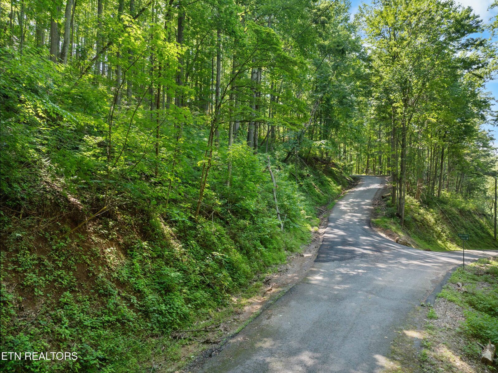 Property Photo:  Emerald Springs Loop  TN 37862 