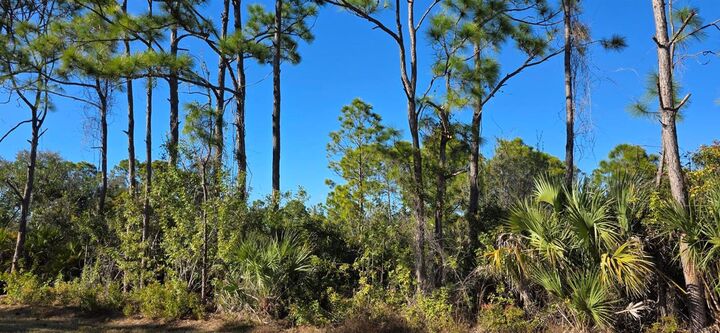 Property Photo: 12054 Keller Avenue FL 33981