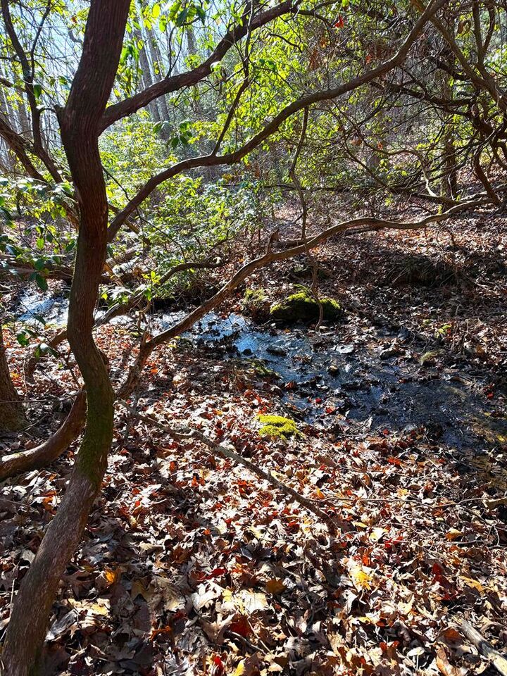 Property Photo: 23 Surrey Trail NC 28906