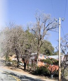 Property Photo:  10705 Gifford Springs  CA 95426 