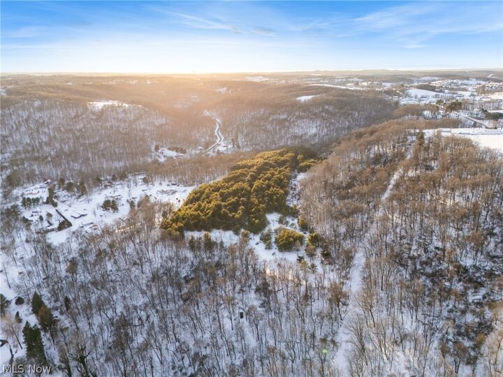 Property Photo:  Grimms Bridge Road  OH 43920 