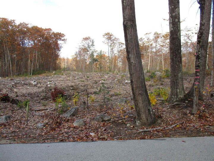 Property Photo:  1-65-C Barrett Road  NH 03048 