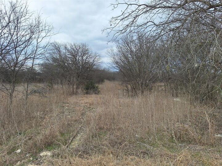 Property Photo:  303 Creekwood Drive  TX 76627 