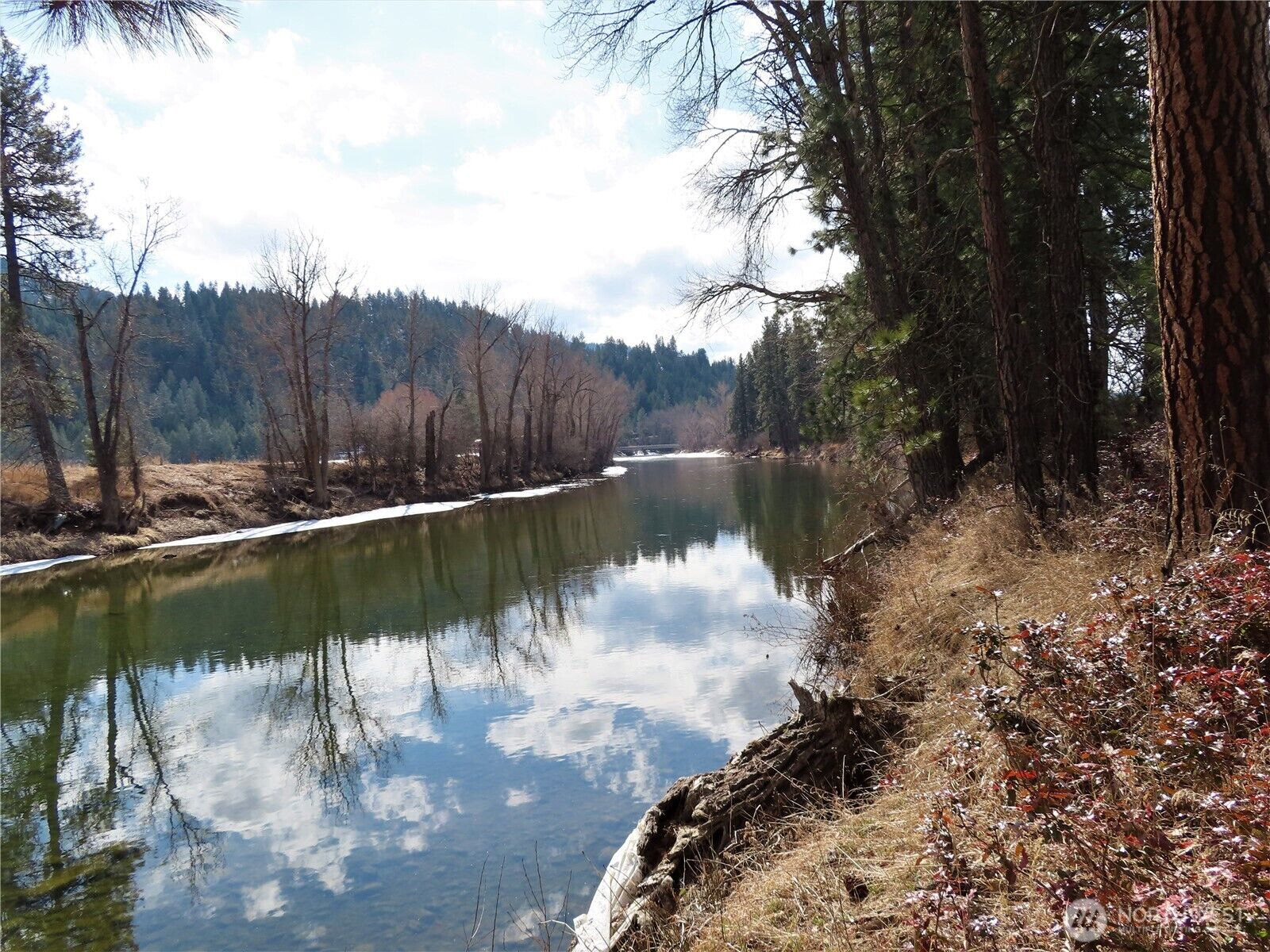 Property Photo:  0 Lot 8  Highway 21  N  WA 99121 