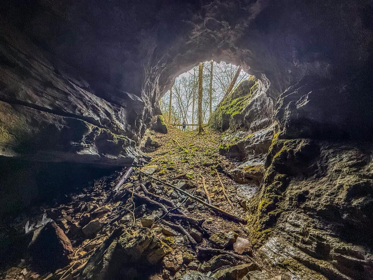 Property Photo:  7942 Priceville Road  KY 42722 