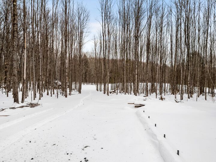 Property Photo:  100 Monkey Run Road  NY 13833 