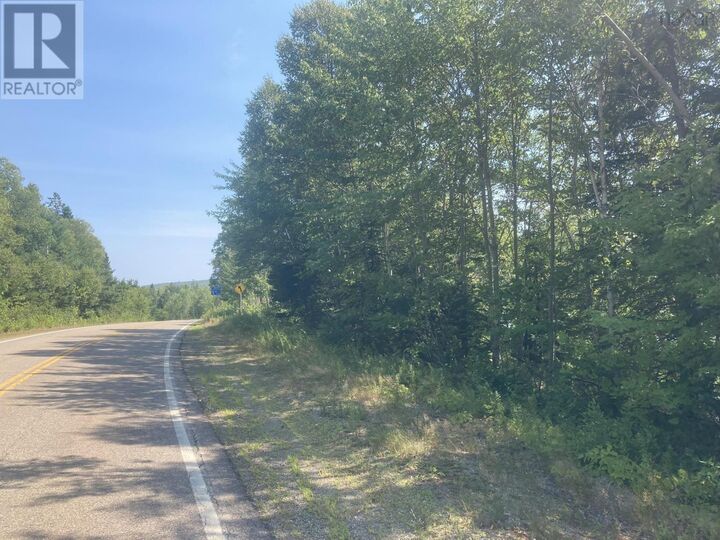 Property Photo:  Lot 10-3 316 Highway  NS B0H 1J0 