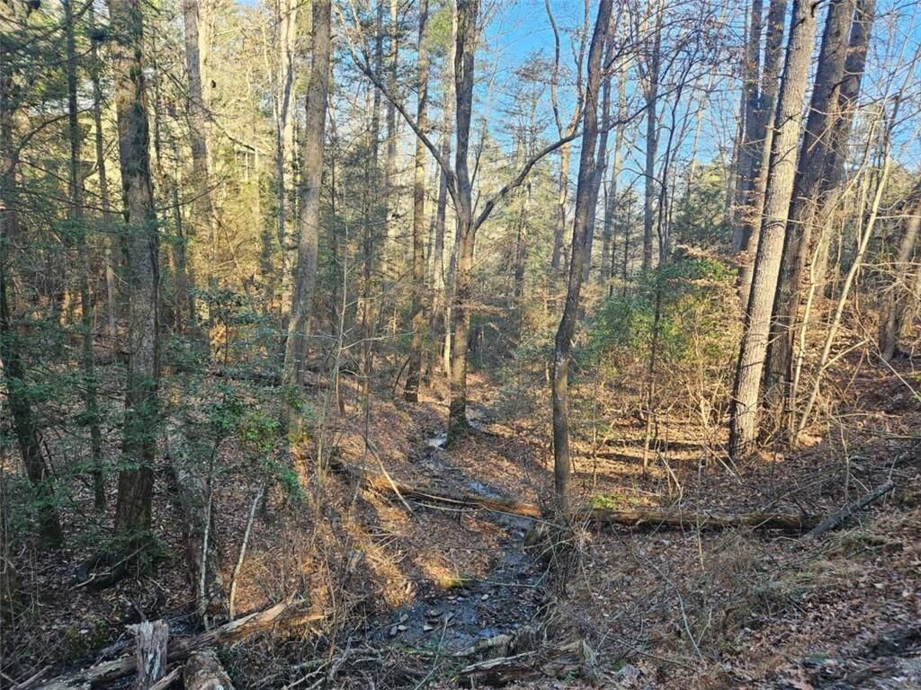 Property Photo:  Lt 162 Nexus Drive  GA 30540 