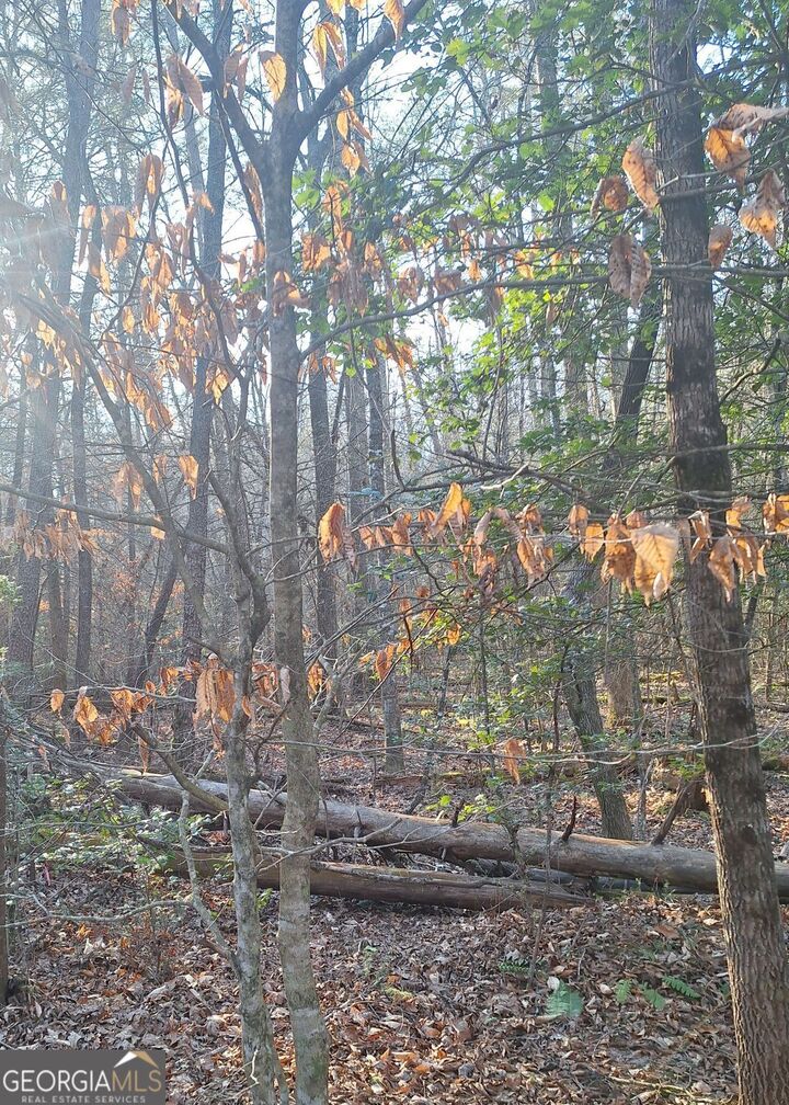 Property Photo:  Lots 15A 16A 17 Mill Creek Acres Lane  GA 30513 