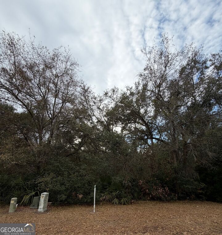 Property Photo:  V/L 823 Stern Street  GA 31558 