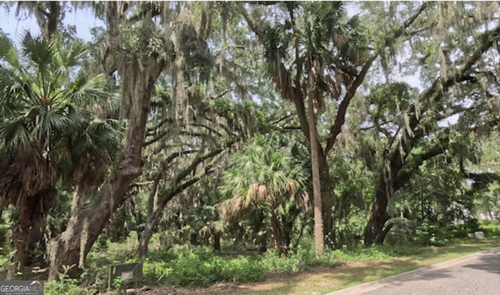 Property Photo:  918 Wagner Lane  GA 31558 