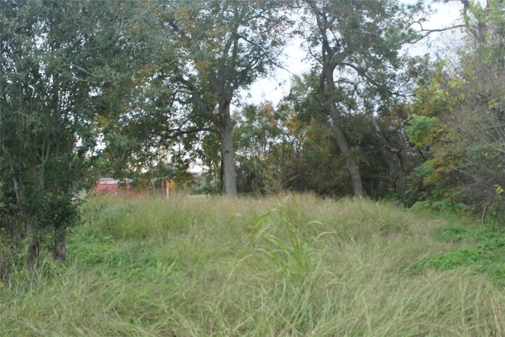 Property Photo:  426 Pear Street  TX 77568 