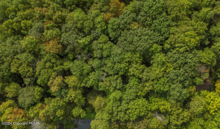 Property Photo:  291 Deer Run Road  PA 18347 