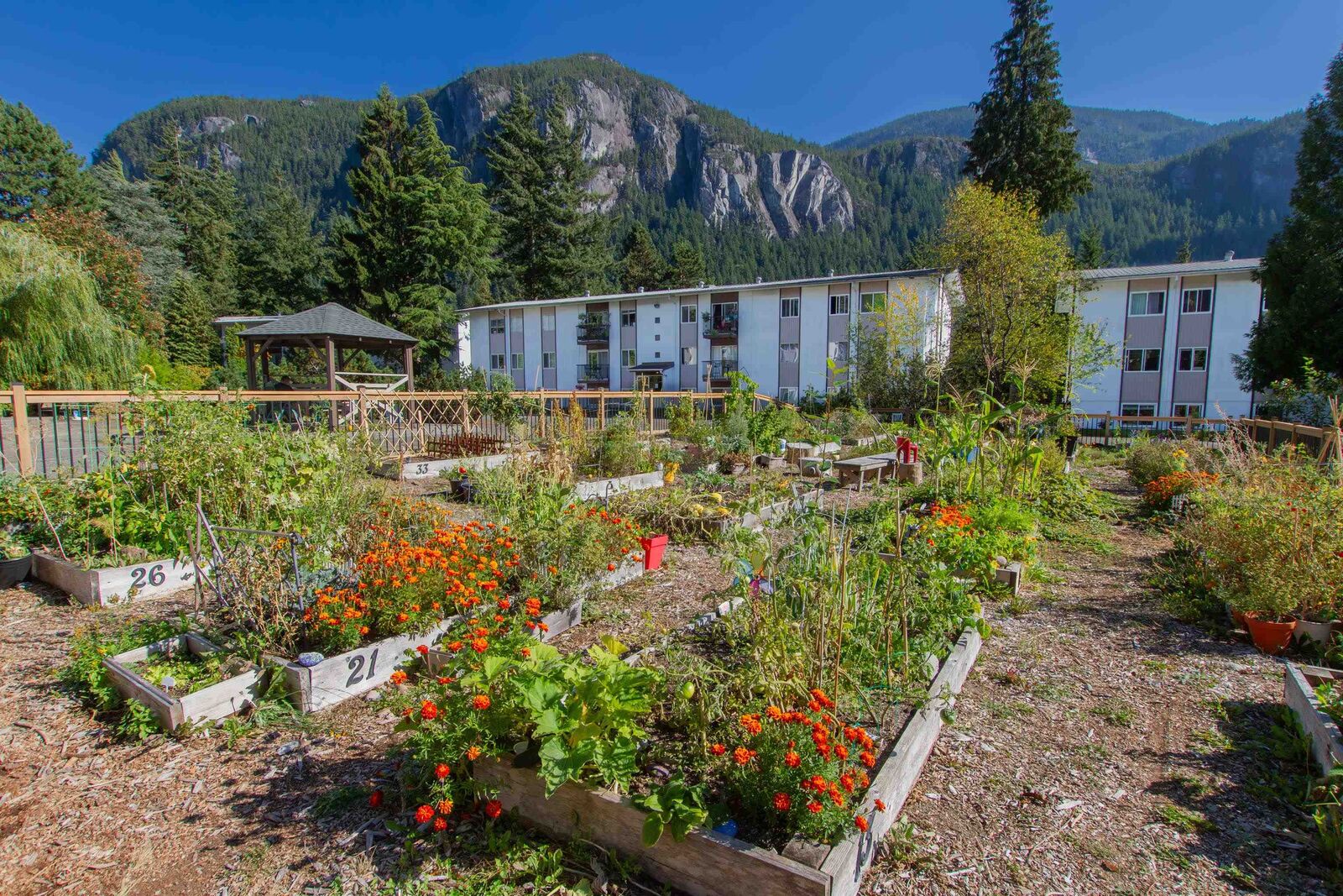 Property Photo: 38175 Westway Avenue 25 BC V8B 0Y4