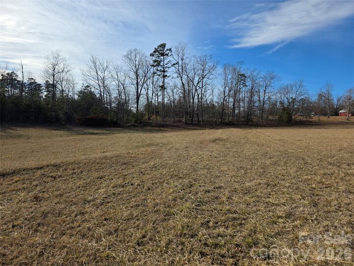 Property Photo: 00 County Line Road NC 29139