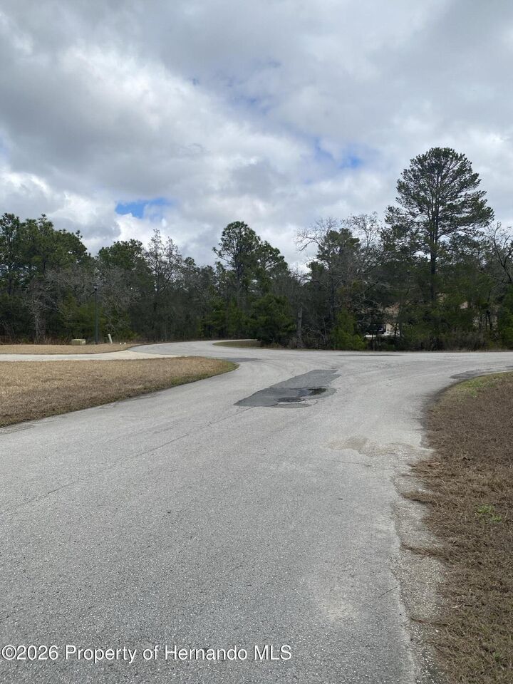 Property Photo:  6 Pepper Court  FL 34446 