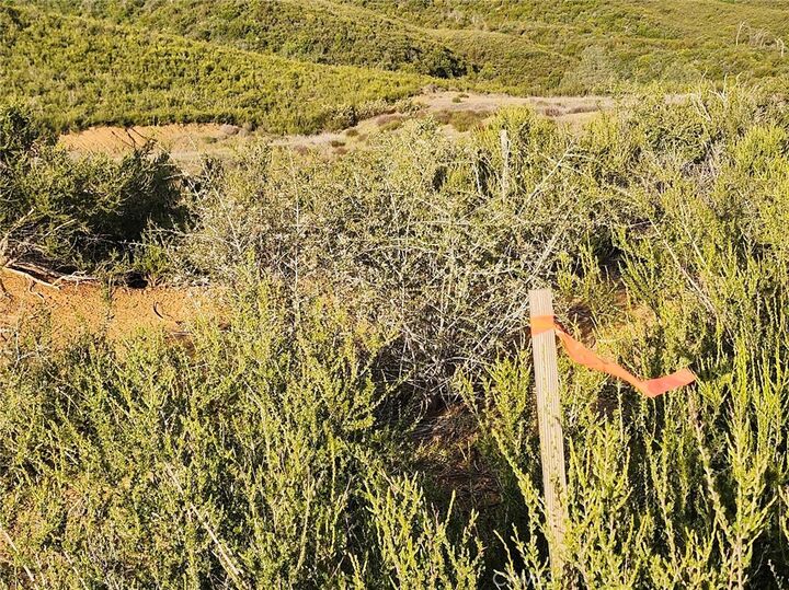 Property Photo:  10480 Sky High Ridge Road  CA 95457 