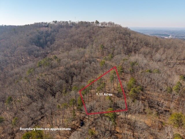 Property Photo:  1110 Mayfield Lane  GA 30734 