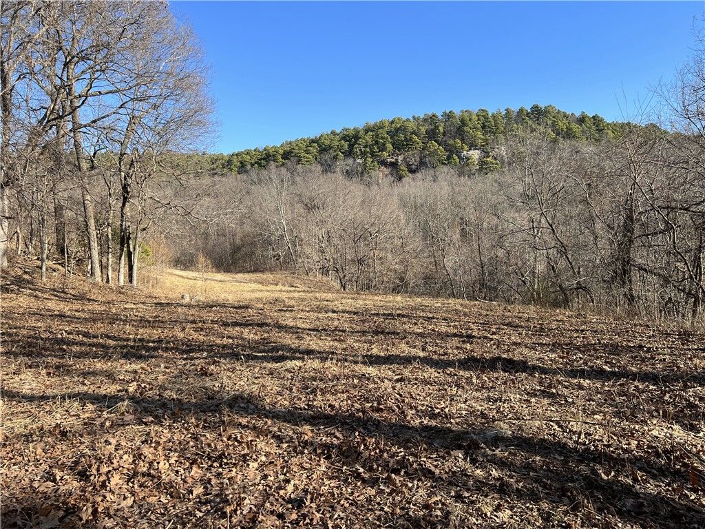 Property Photo: Terrapin Road AR 72601