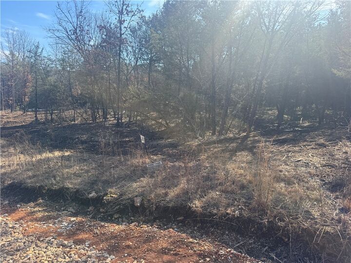 Property Photo:  Tbd 2.43 Acres County Rd 3271  AR 72616 