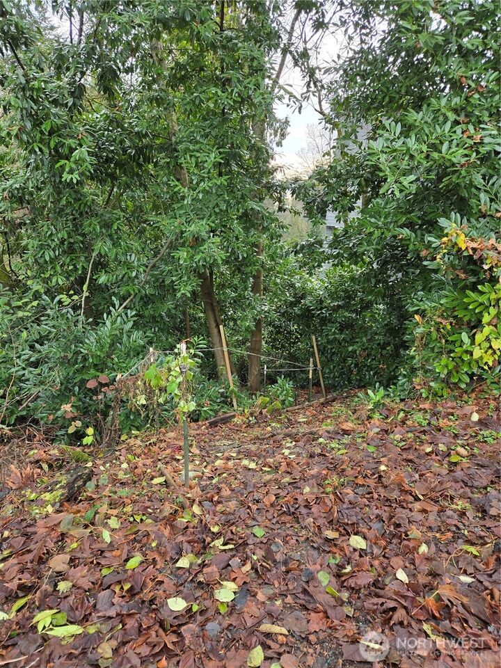 Property Photo:  14014  41st Avenue NE  WA 98125 