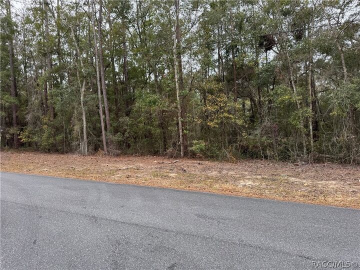 Property Photo:  10350 N Academy Drive  FL 34434 