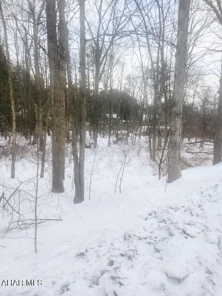Property Photo:  0 Brush Creek Road  PA 15533 
