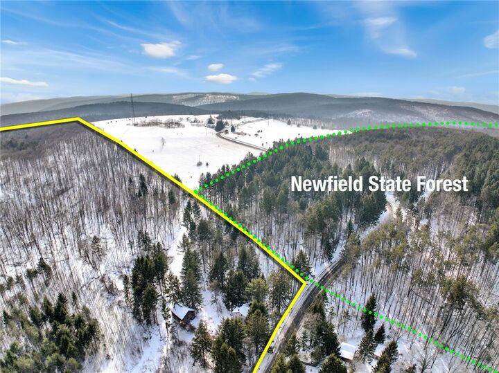 Property Photo:  169 Irish Hill Road  NY 14867 