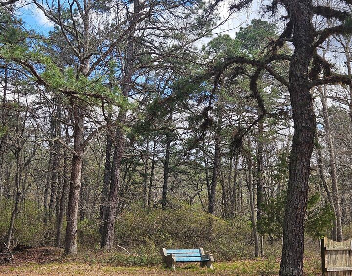 Property Photo:  Deerwood Avenue  NJ 08340 