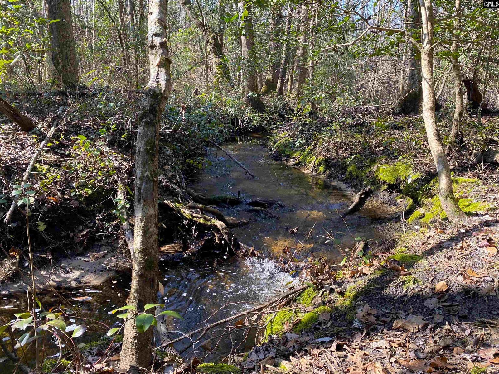 Property Photo:  Tbd 1 Juniper  SC 29843 