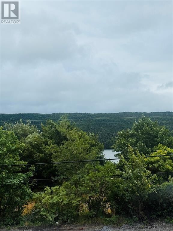 Property Photo:  1253 Main Road  NL A0B 1S0 