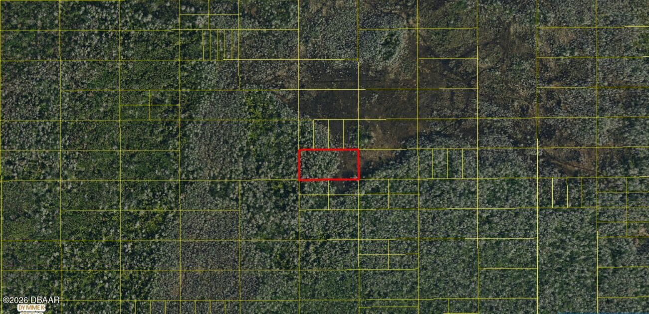 Property Photo:  0 Holopaw Groves Road  FL 34772 