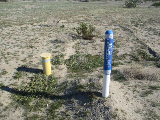 Property Photo:  1306 Shore Manor Street  CA 92274 