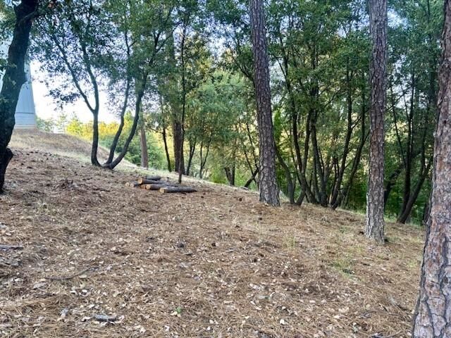 Property Photo:  12301 Tower Peak Ct  CA 95321 