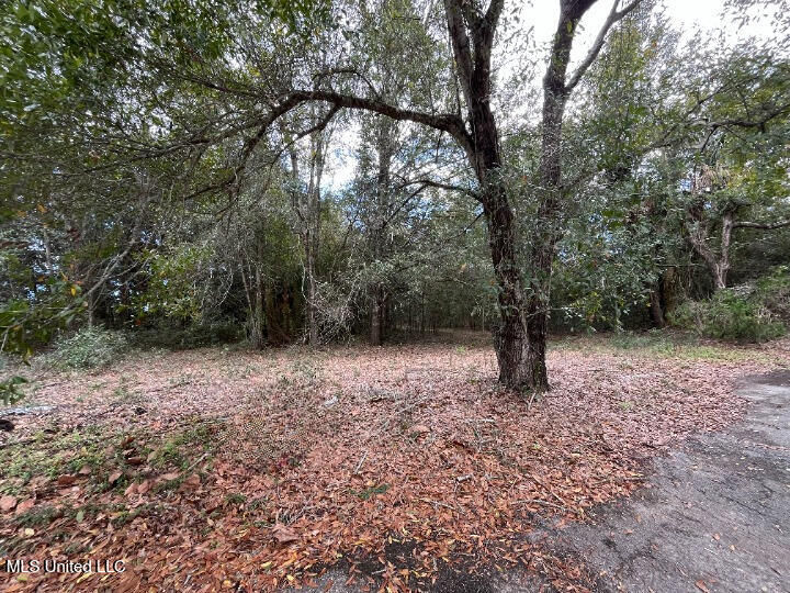 Property Photo:  105 25th Street  MS 39507 