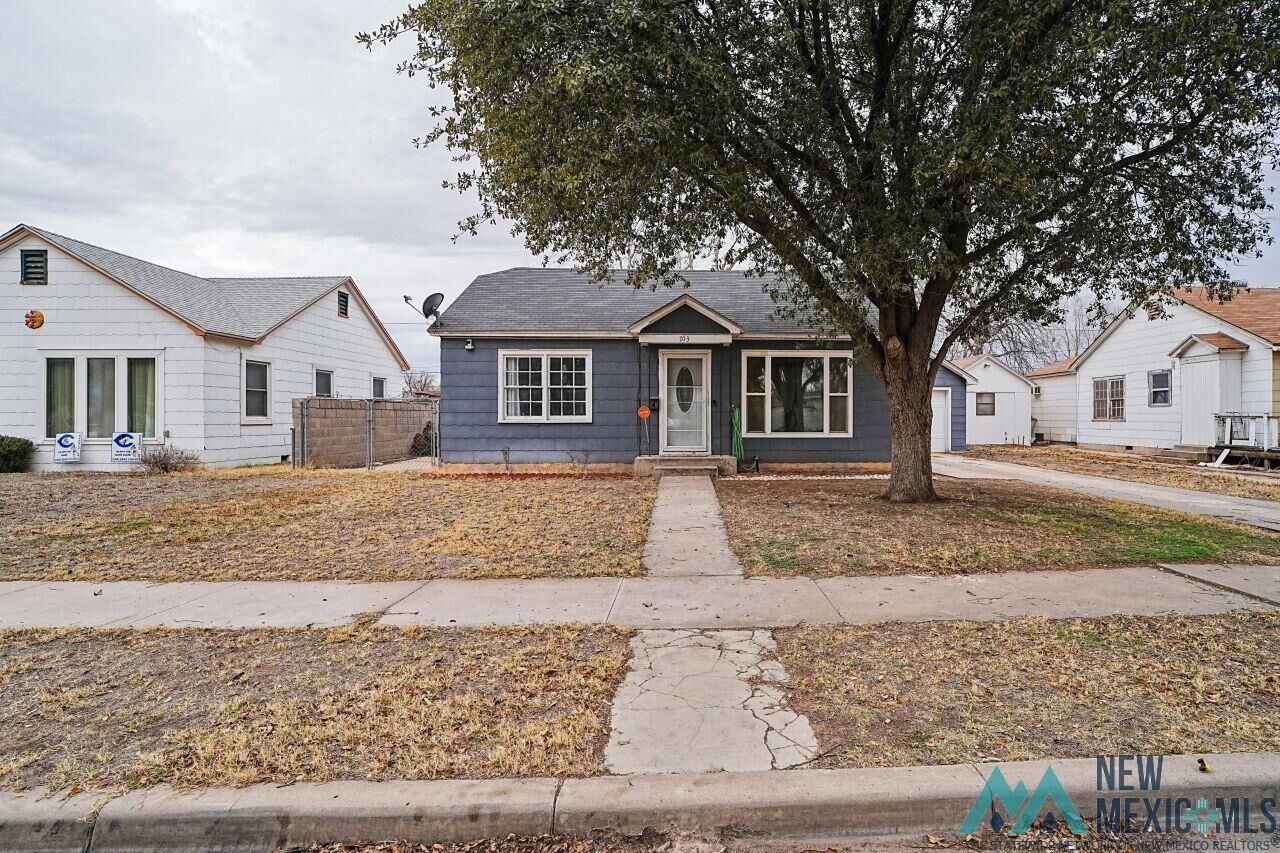 Property Photo:  703 N Hickory Street  NM 88220 
