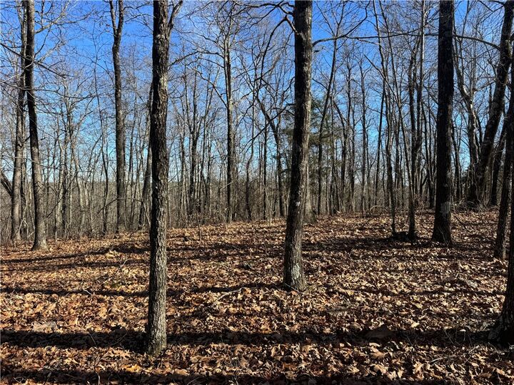 Property Photo:  Tbd 001 Plumlee Rd  AR 72611 