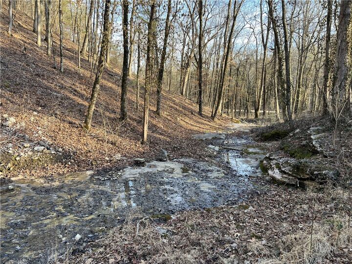 Property Photo:  4137 Nc 8167  AR 72641 