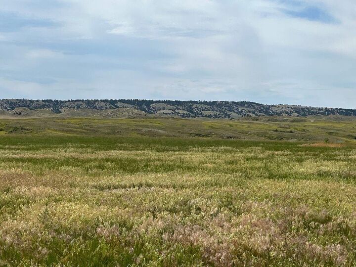 Property Photo: 25 Gosney Road WY 82639