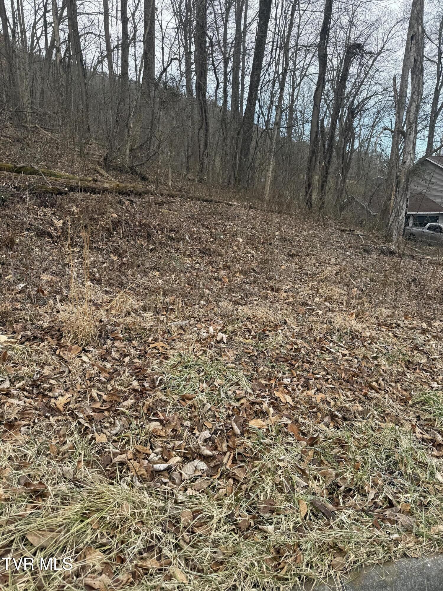 Property Photo:  2016 Queensbury Court  TN 37660 