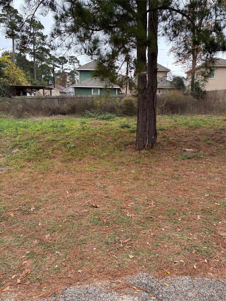 Property Photo:  16712 E Ivanhoe  TX 77316 