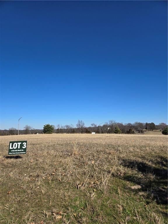 Property Photo:  1708 NE Bluff Street  MO 64086 