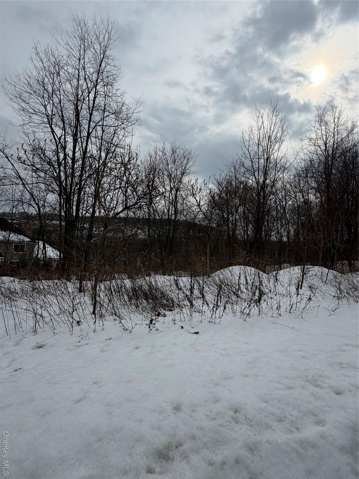 Property Photo: 96 Juniper Terrace NY 10987