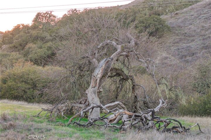 Property Photo:  11315 Nacimiento Lake Drive  CA 93426 