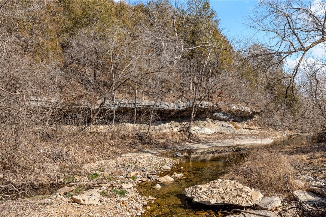 Property Photo: 4242 Mill Hollow Road AR 72601