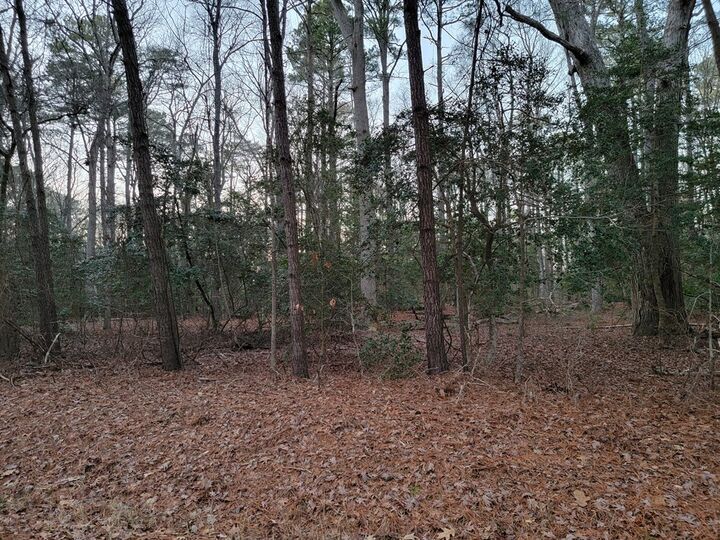 Property Photo:  Lot 7A1 Wilsonia Shores Dr  VA 23405 