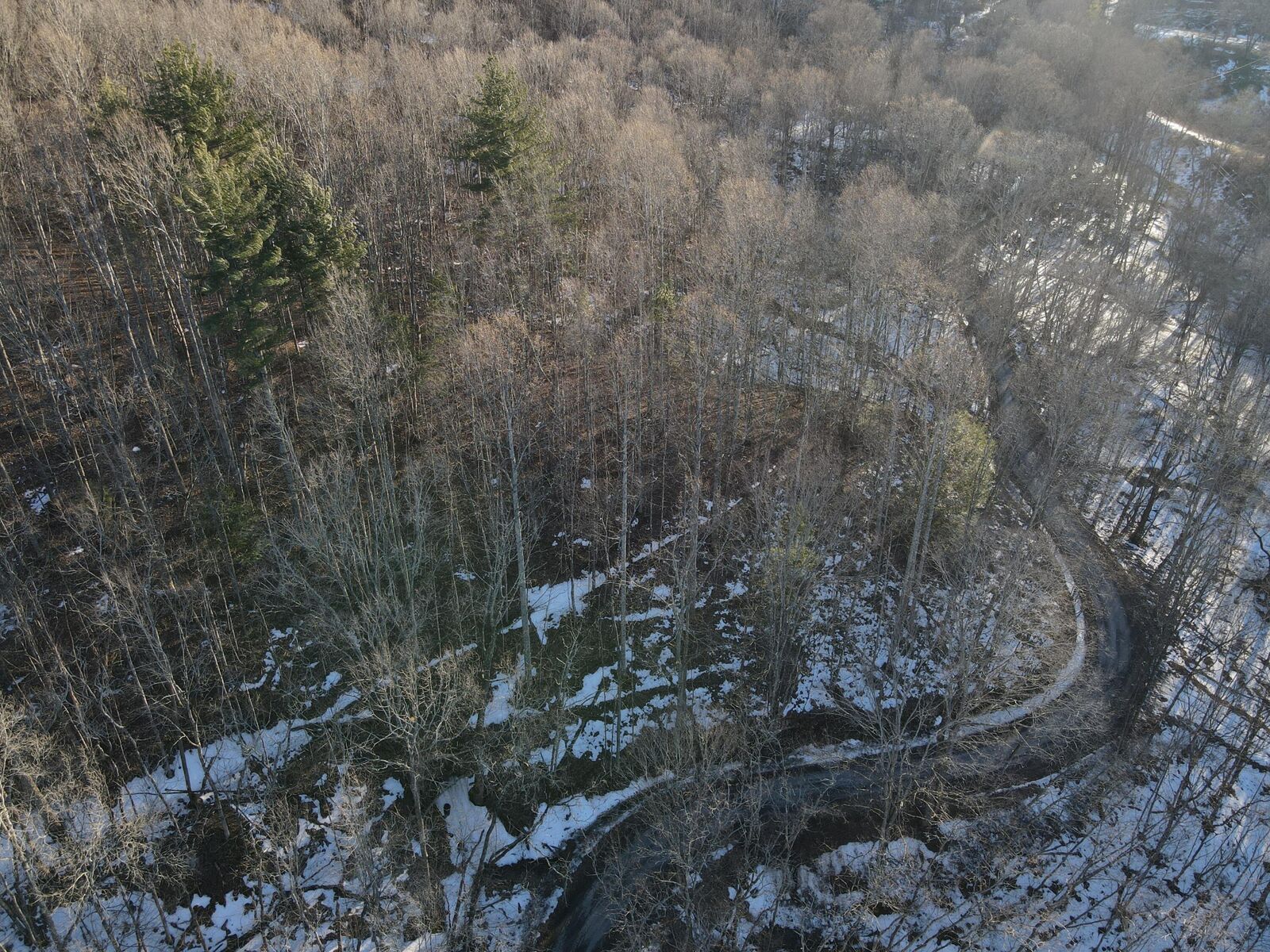 Property Photo: Tbd Leonard Long Rd WV 24966