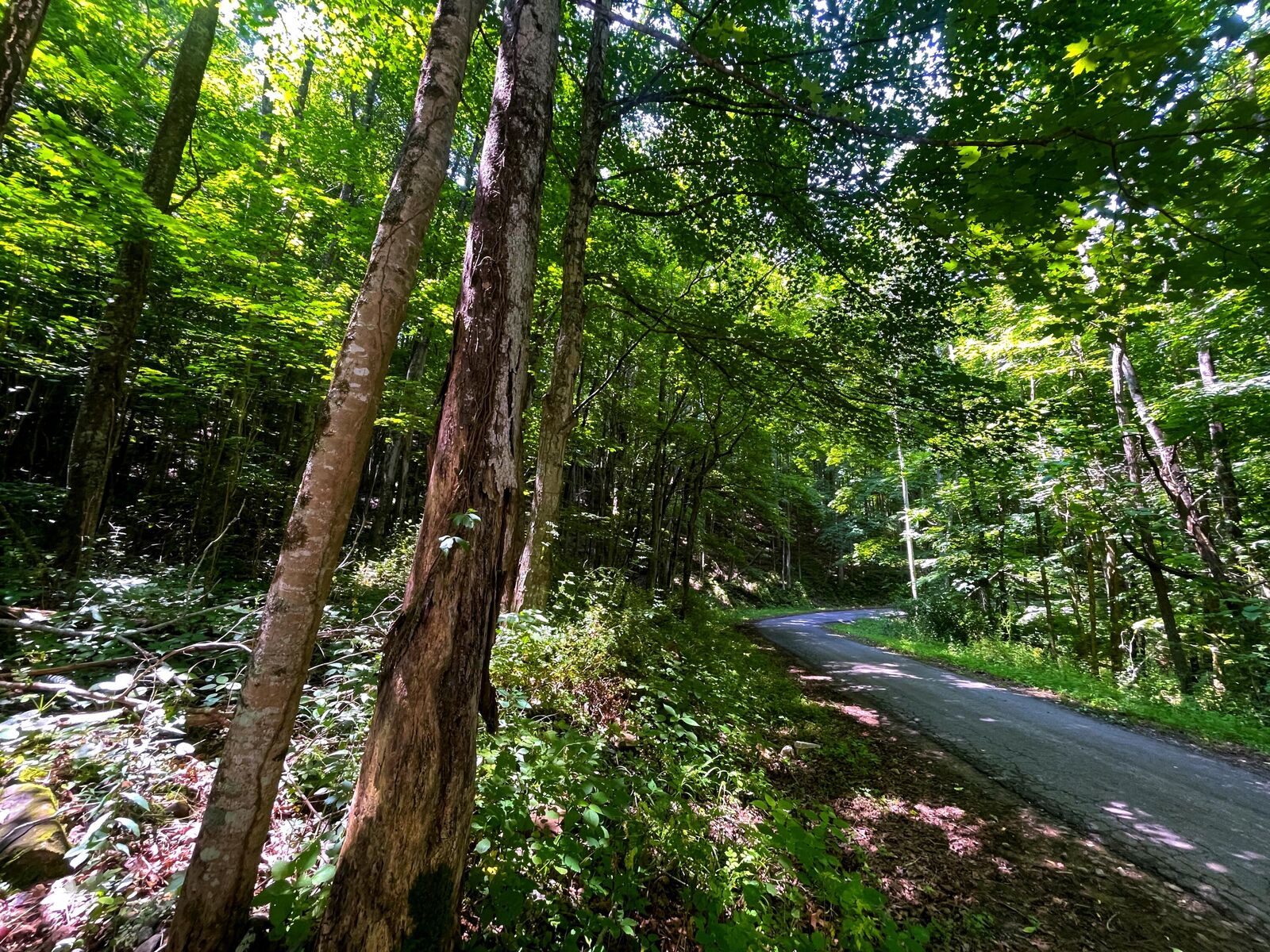 Property Photo:  Tbd Leonard Long Rd  WV 24966 